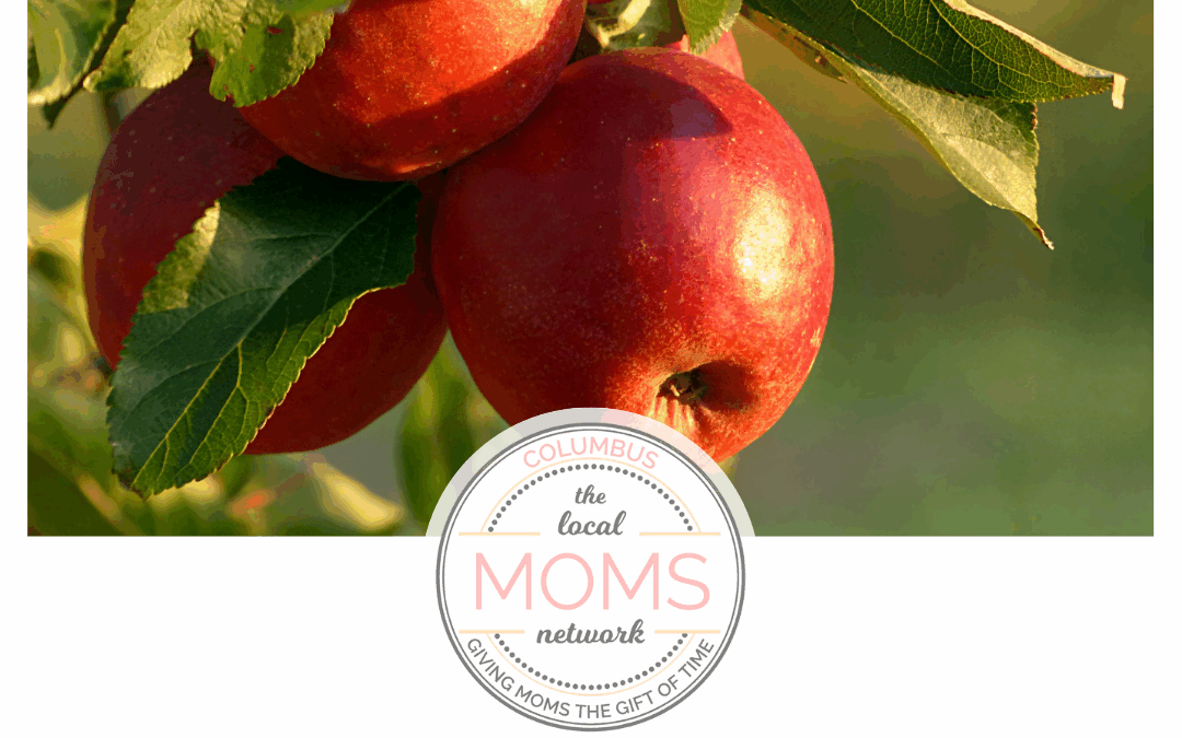 Pick Your Own Apples Around Columbus