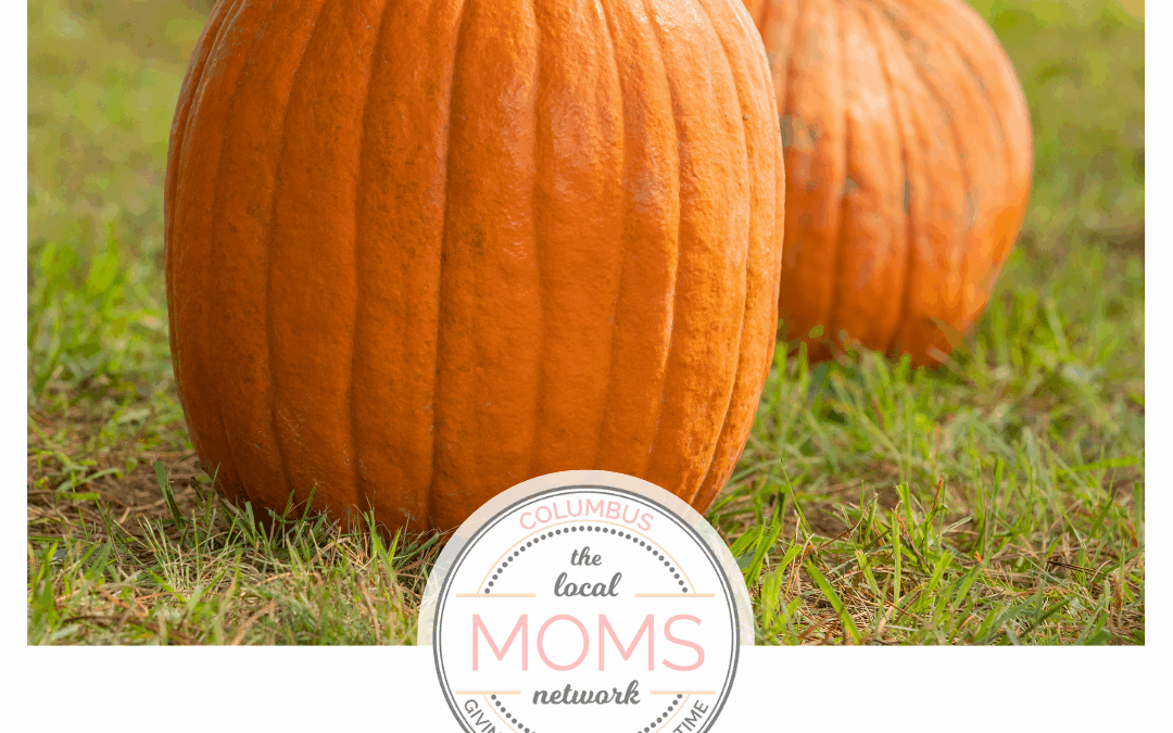 2025 Pumpkin Patches and Fall Farm Guide