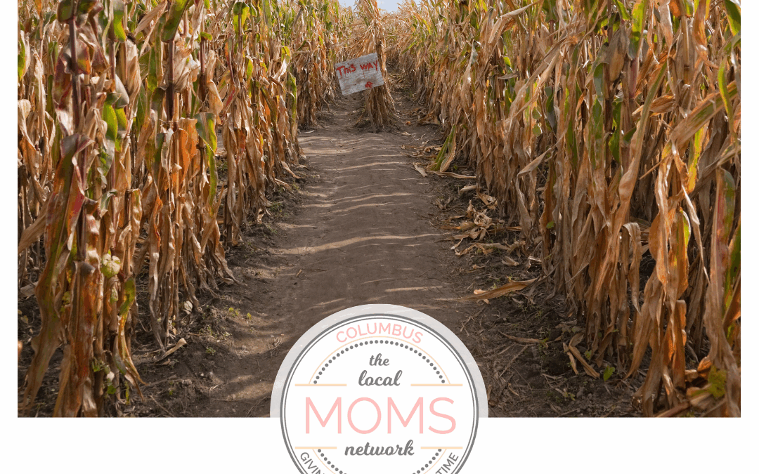 Corn Mazes Around Columbus