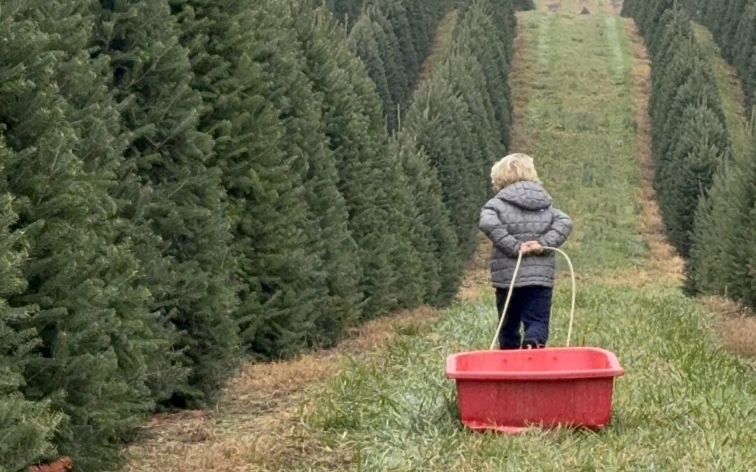 Making Holiday Memories at Timbuk Farms