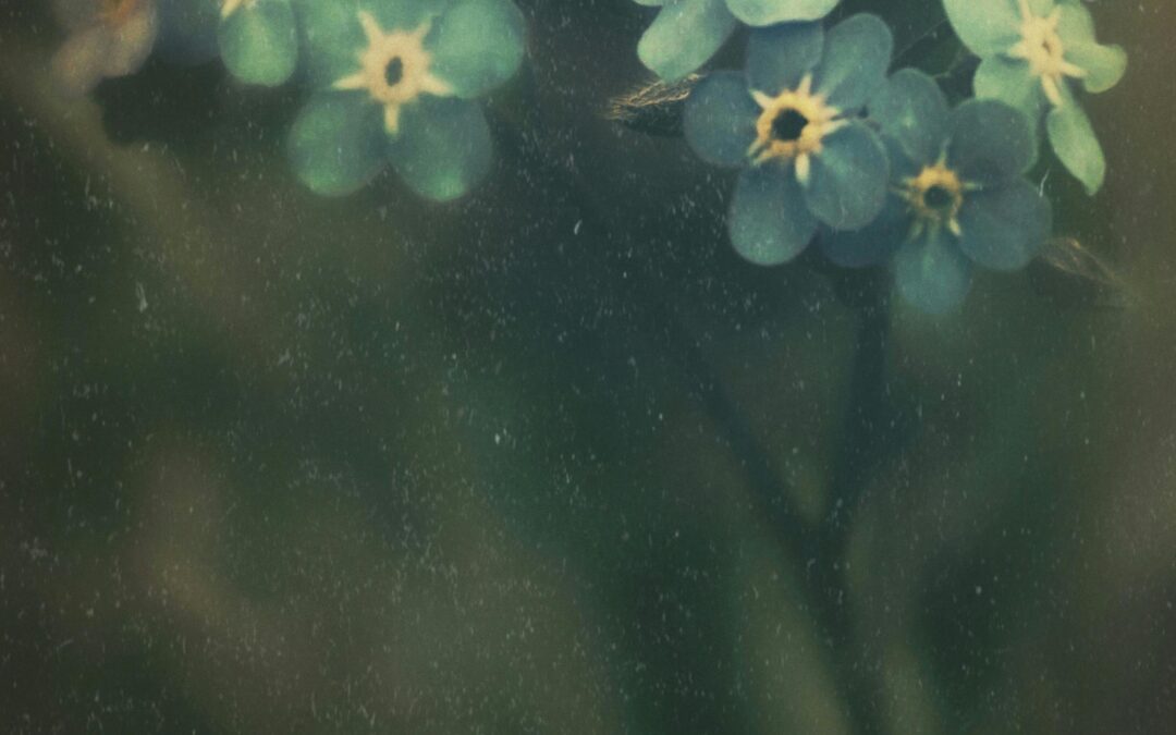 When Motherhood Meets Heartbreak: 4 Essential Tips to Heal through Infertility and Loss